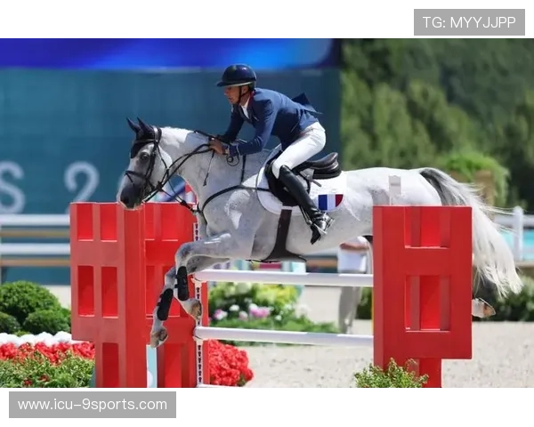 法国马术协会成功举办巴黎奥运会马术赛事，吸引全球目光。，法国马术协会ffe